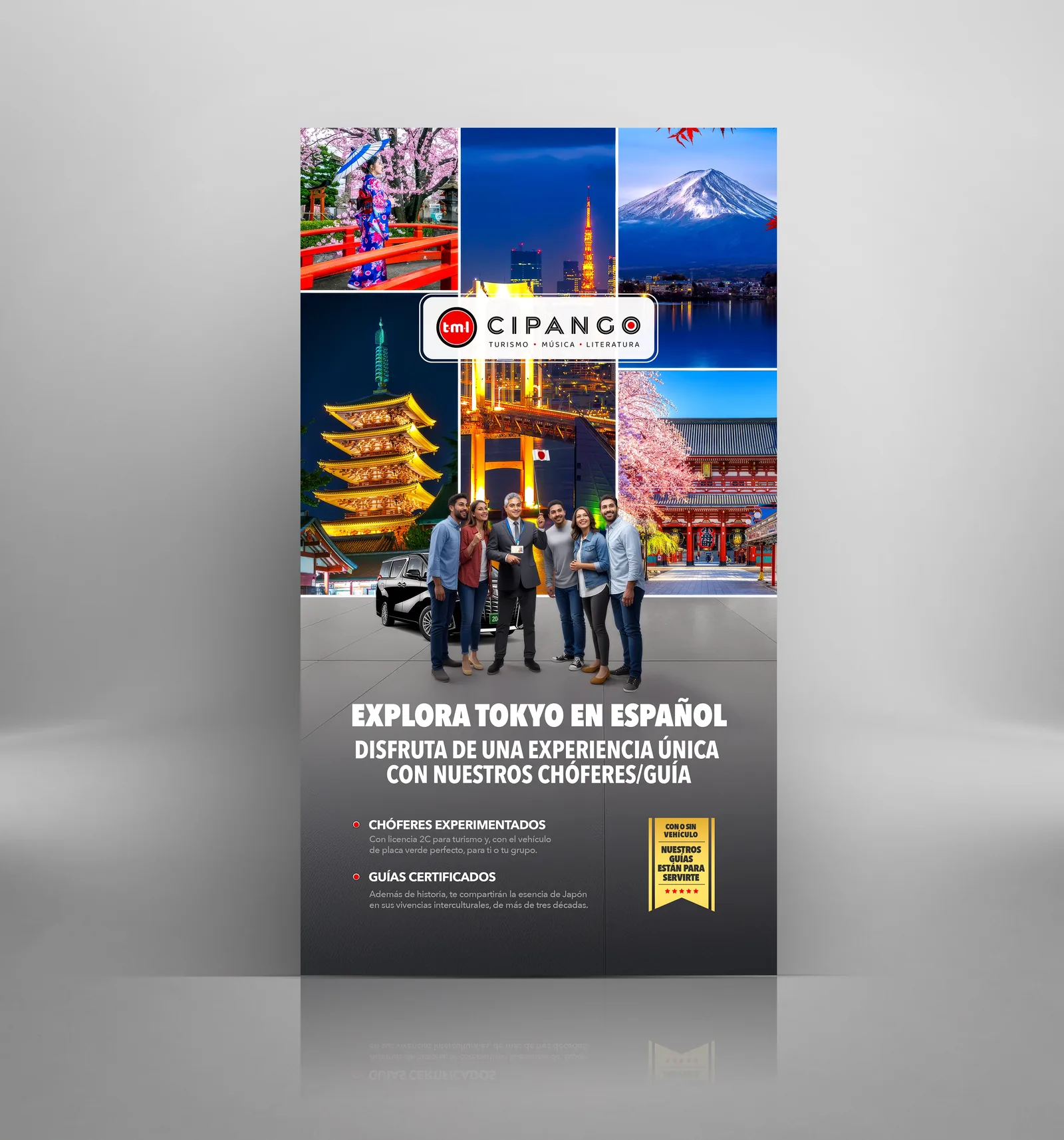 TML Cipango — identidad y plataforma web