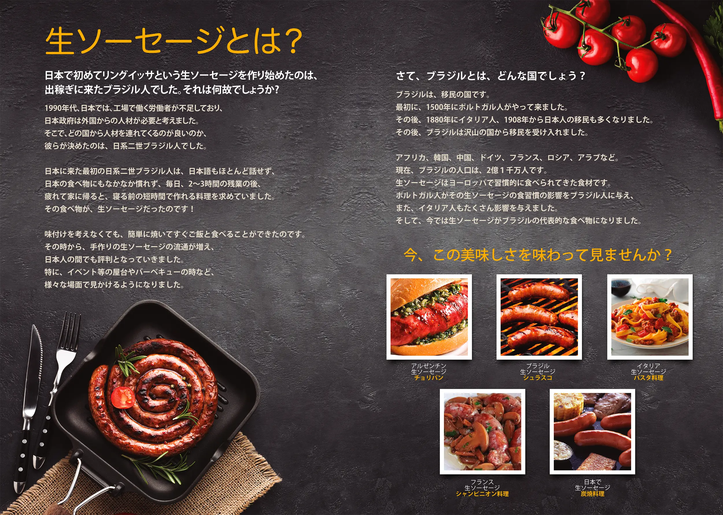 DuBom — brochure de marca